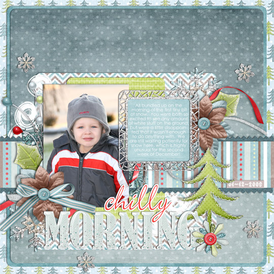 Chilly Morning - Curtis