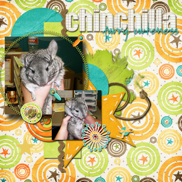 Chinhcilla