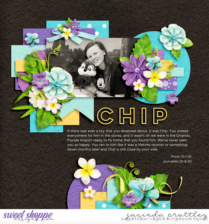Chip