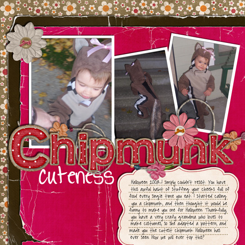 chipmunk aerin, chat template