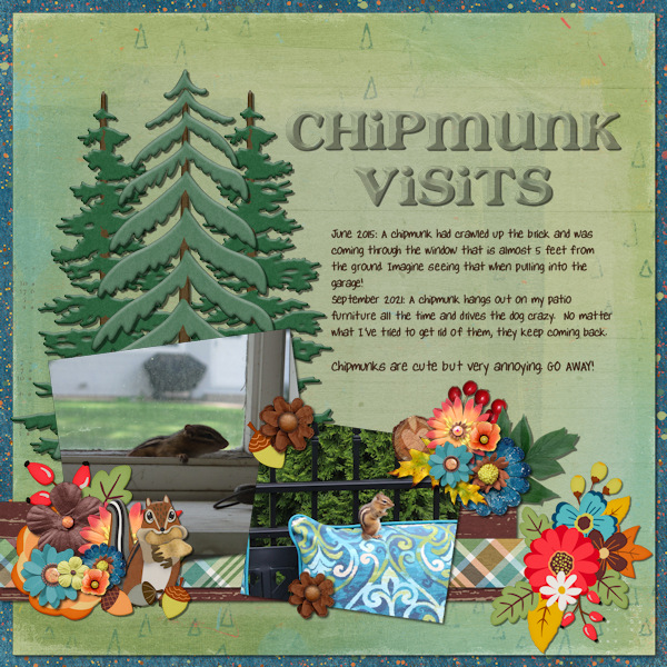 Chipmunk Visits