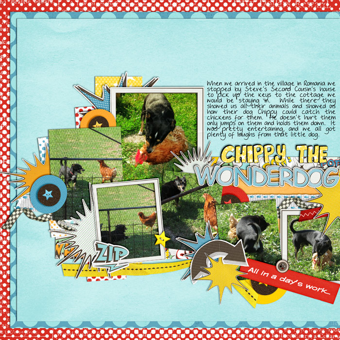 Chippy the wonderdog