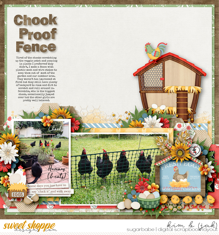 Chook Proof Fence