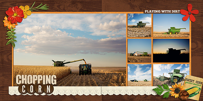 Chopping Corn