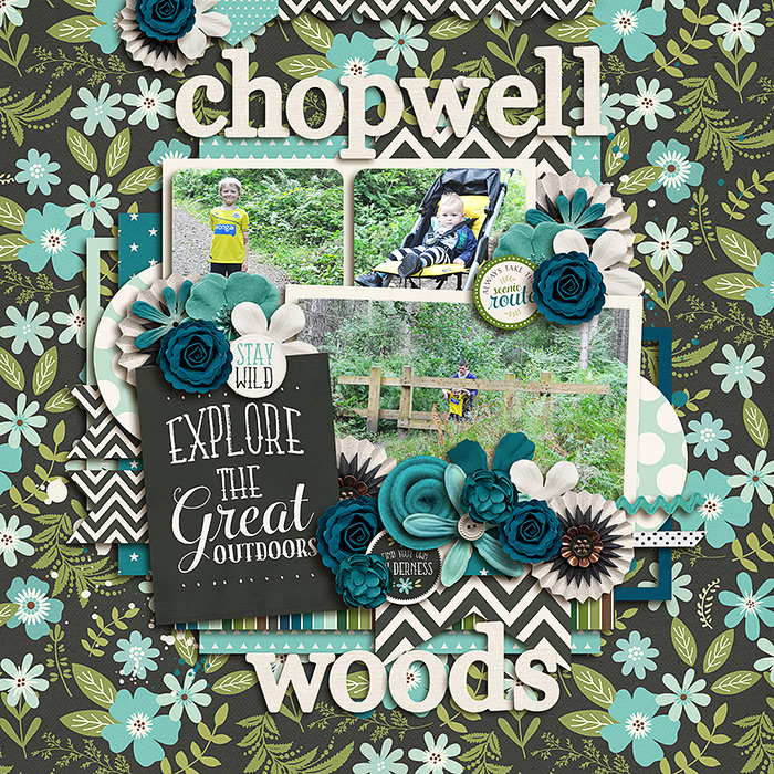 Chopwell Woods
