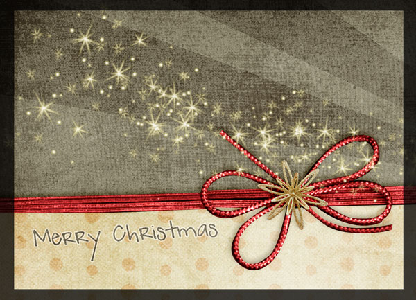 Christmas Cards 2010 :: Traci & Penny I