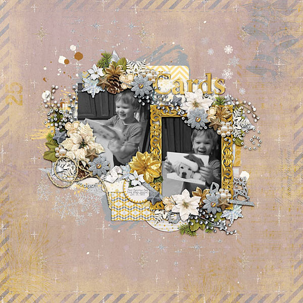 Christmas Cards 2012