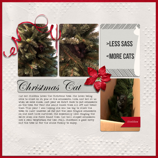 Christmas Cat