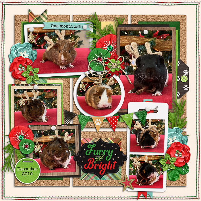 Christmas Cuties