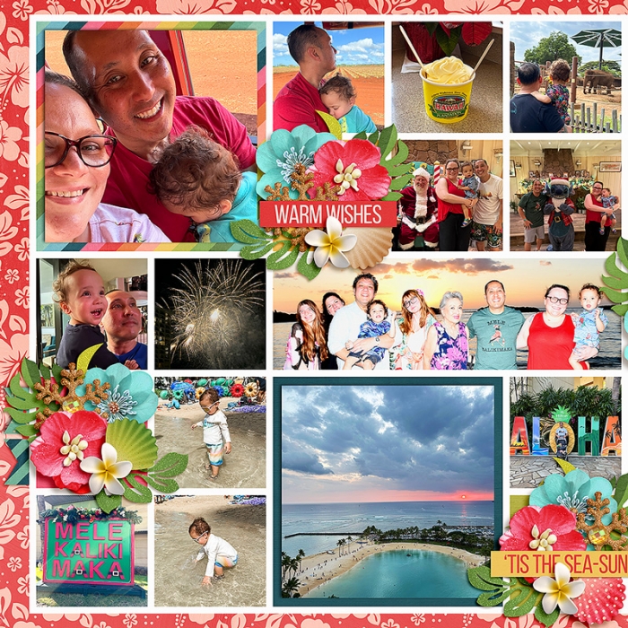 Christmas in Hawaii 2024 - LEFT