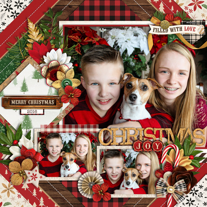 Christmas Joy