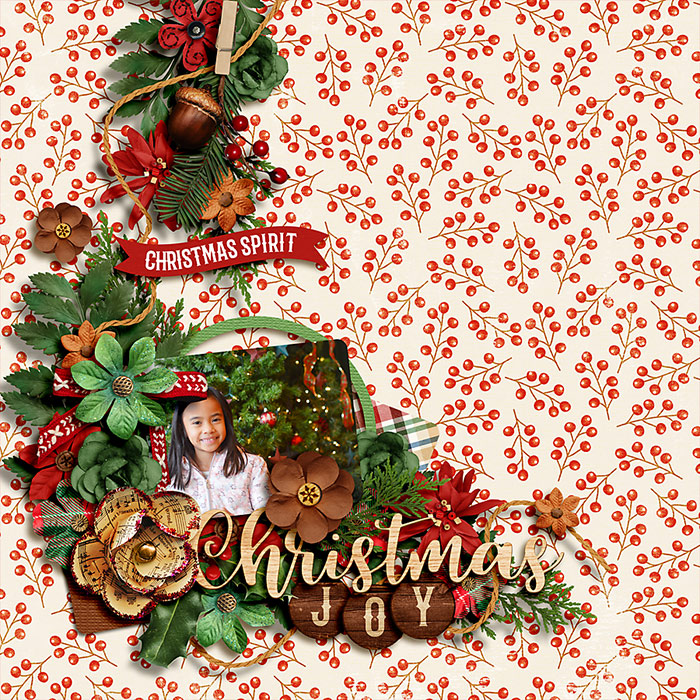 Christmas Joy