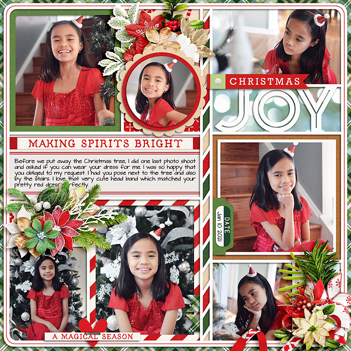 Christmas Joy