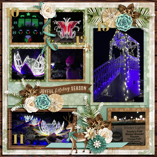 Christmas Lights 2018 pg2