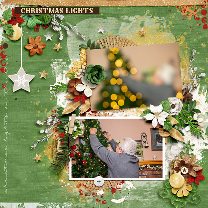 Christmas Lights