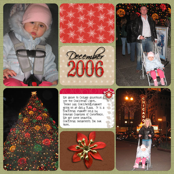 Christmas Market in Chicago