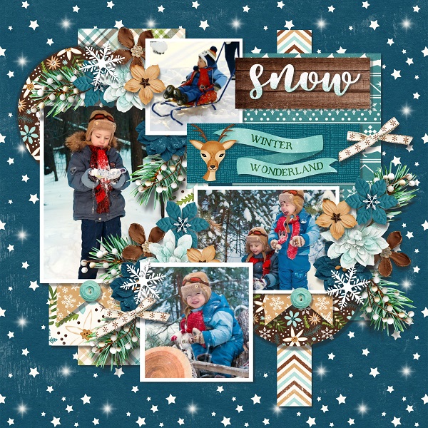Christmas memories - winter wonder