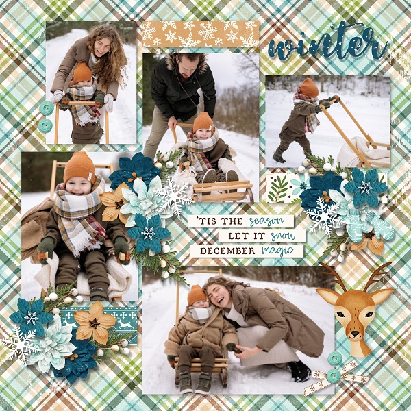 Christmas memories - winter wonder