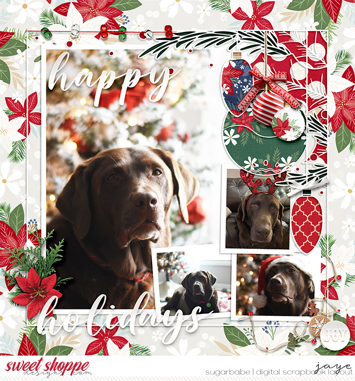 Christmas Posing 2022