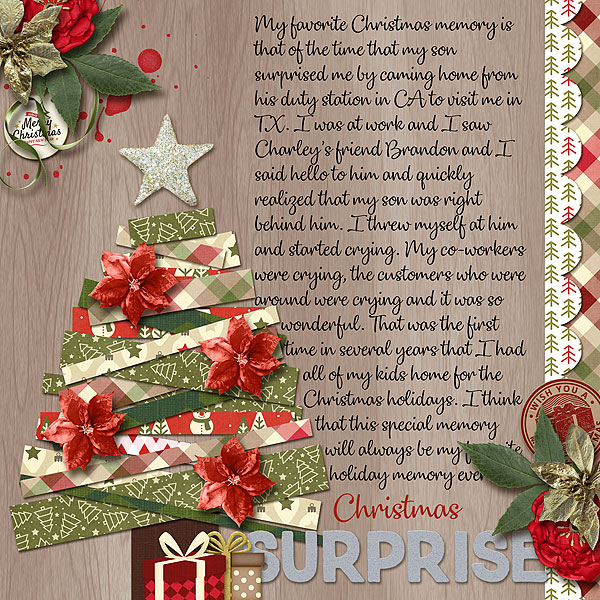 Christmas Surprise