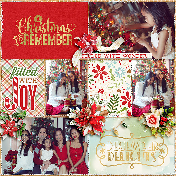 Christmas to remember