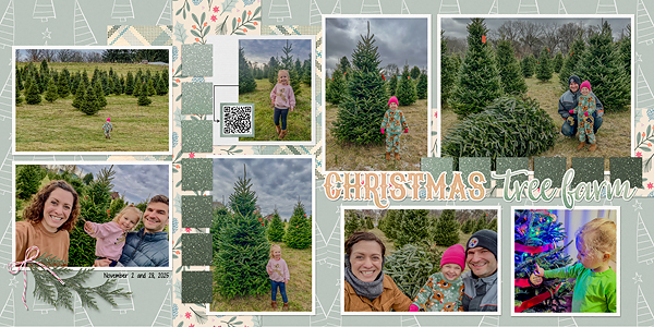 Christmas Tree Farm