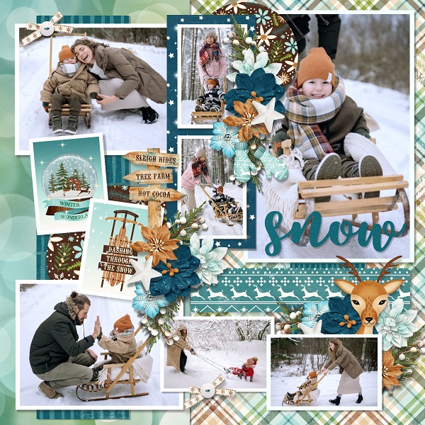 Chritmas memories - winter wonder