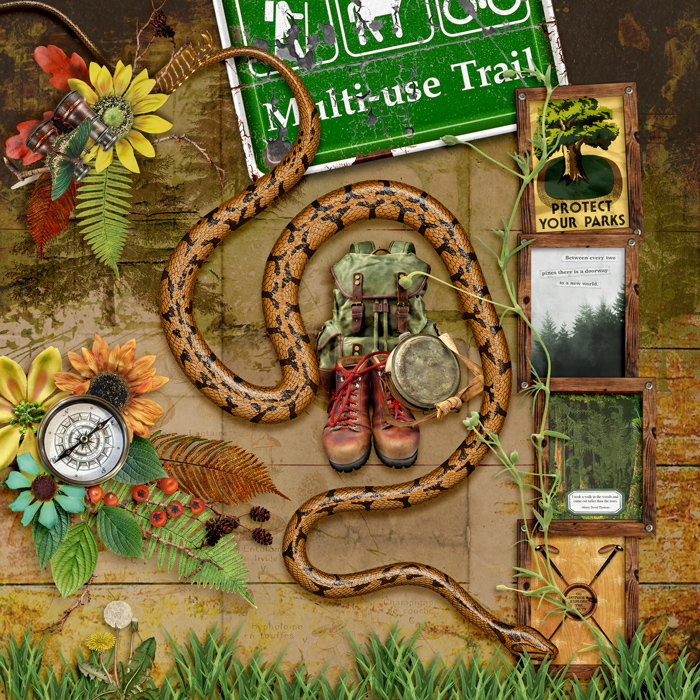 Chutes & Ladders Adventure Walk