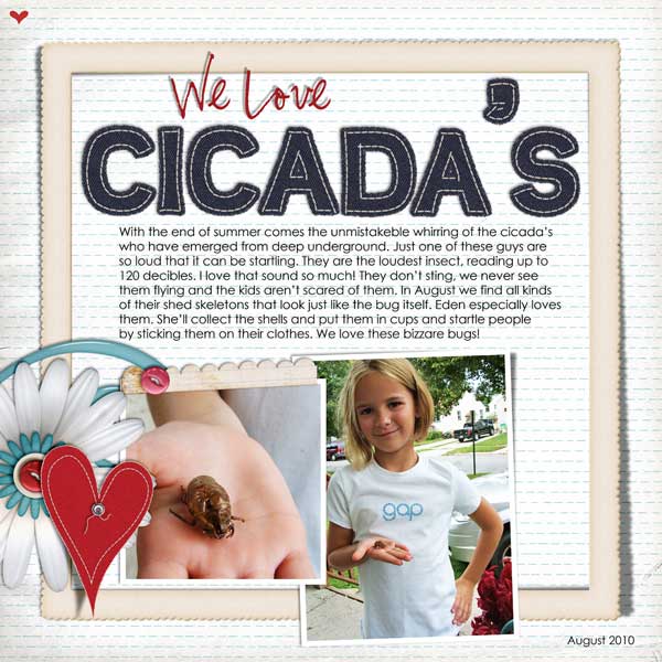 Cicadas