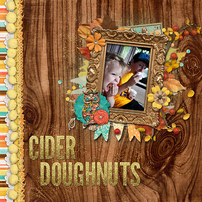 Cider Doughnuts