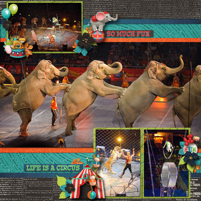 Circus