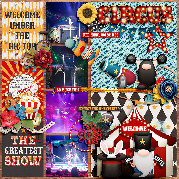 Circus