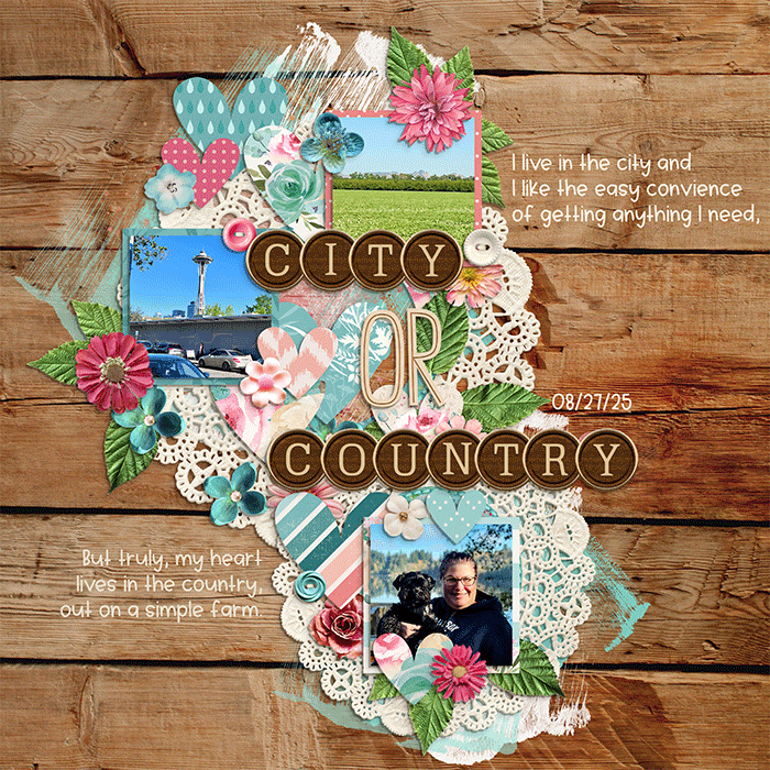 City or Country
