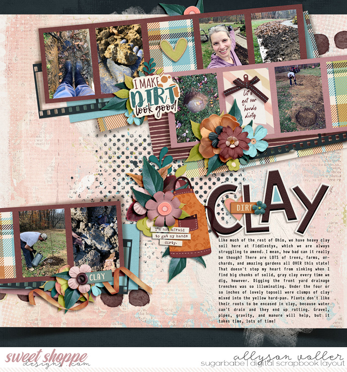 CLAY soil