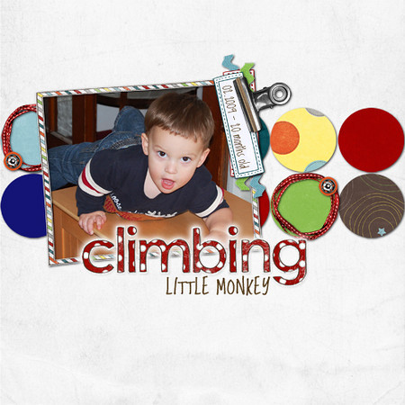 Climbing little monkey