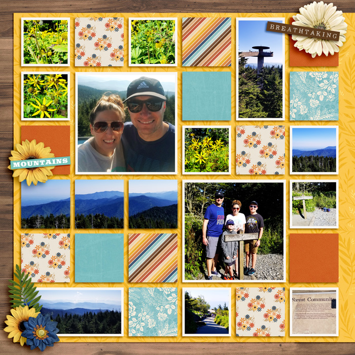 Clingman's Dome