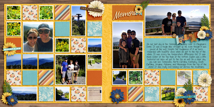 Clingman's Dome