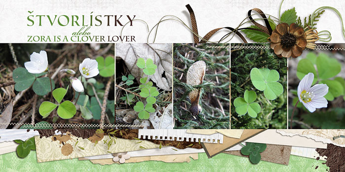 Clover lover
