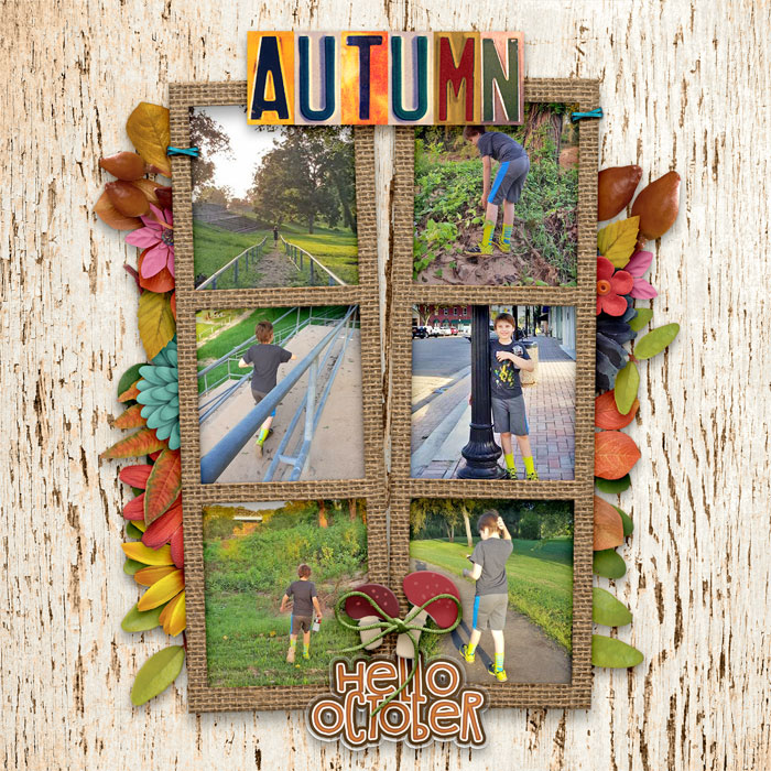 cmg-into-autum