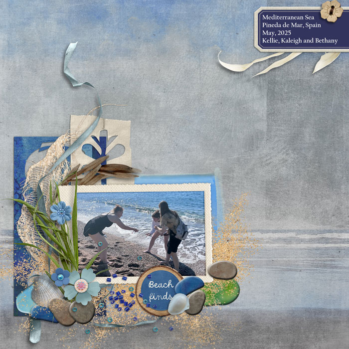cmg-northern-beaches-scrappypenguin