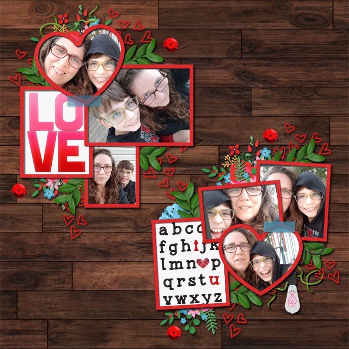 cmg_heartclusters_framhouseval