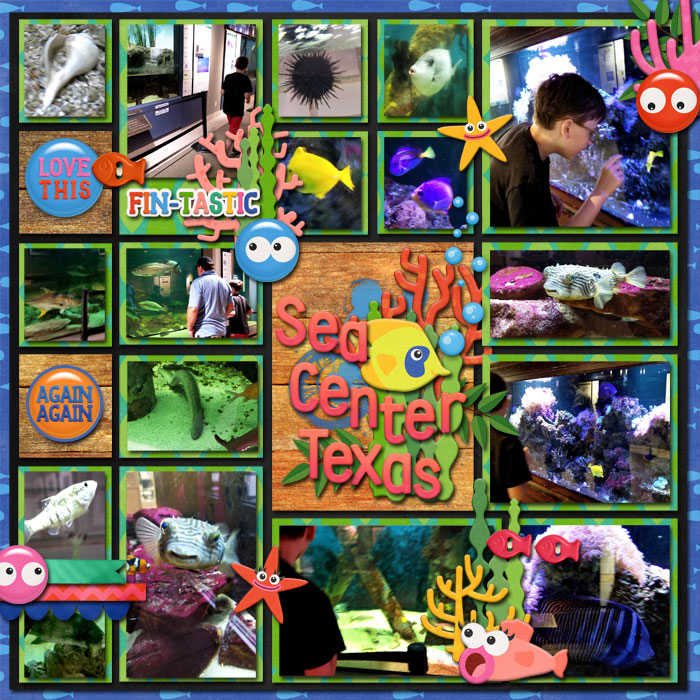 cmg_little_shark_MFish_BB2020_03and1_700
