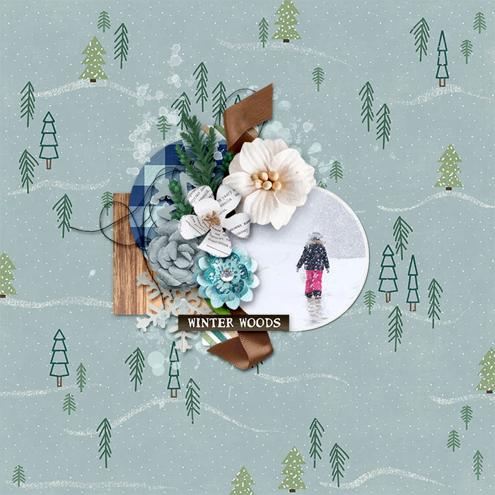 CMG_WinterWoods_KDBOS21