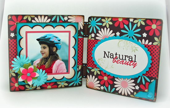 Coaster frame