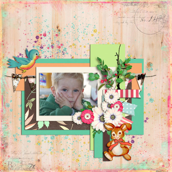 Cody