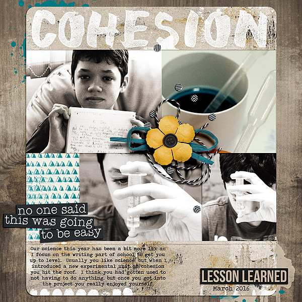 Cohesion #14 something nerdy