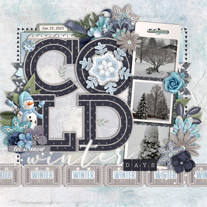Cold Winter Days