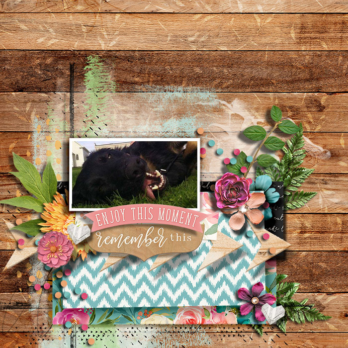 Collect Beautiful Moments