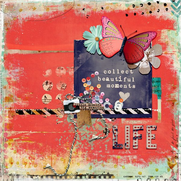 Collect Beautiful Moments