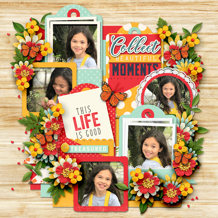 Collect Beautiful Moments